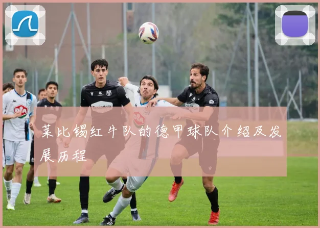 莱比锡红牛队的德甲球队介绍及发展历程