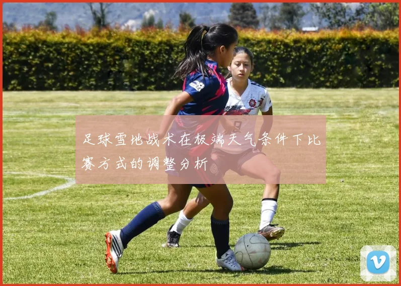 足球雪地战术在极端天气条件下比赛方式的调整分析