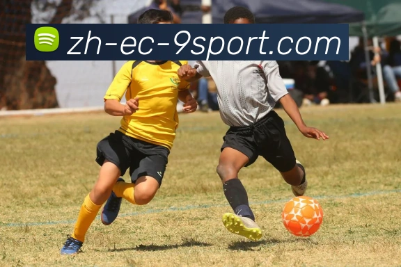 J9九游发展历程